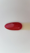 Arkadia Gel Polish 027