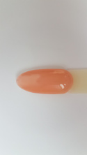 Arkadia Gel Polish 032