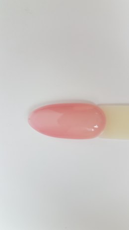 Arkadia Gel Polish 033