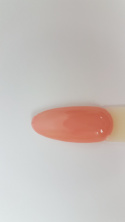 Arkadia Gel Polish 036