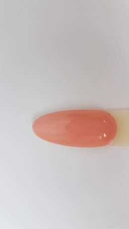 Arkadia Gel Polish 036