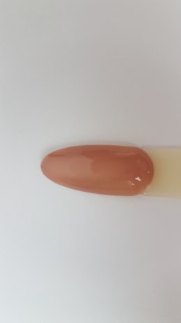 Arkadia Gel Polish 037