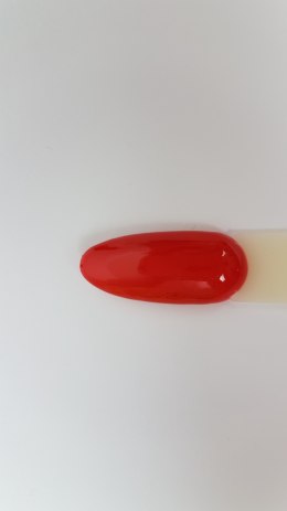 Arkadia Gel Polish 046