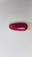 Arkadia Gel Polish 065