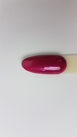 Arkadia Gel Polish 065