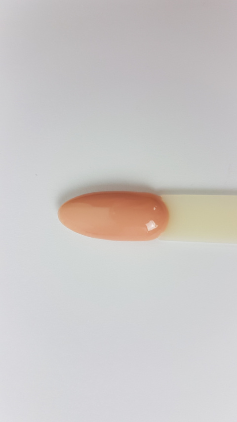 Arkadia Gel Polish 067