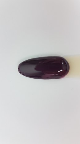 Arkadia Gel Polish 146