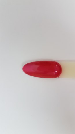 Arkadia Gel Polish 45