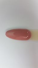 Arkadia Gel Polish 140