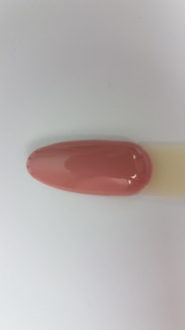 Arkadia Gel Polish 140