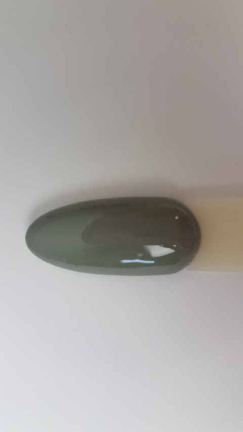 Arkadia New Hybrid 016