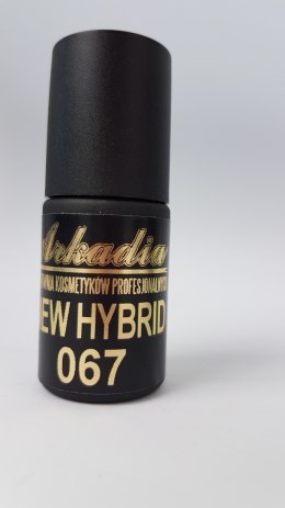 Arkadia New Hybrid 067