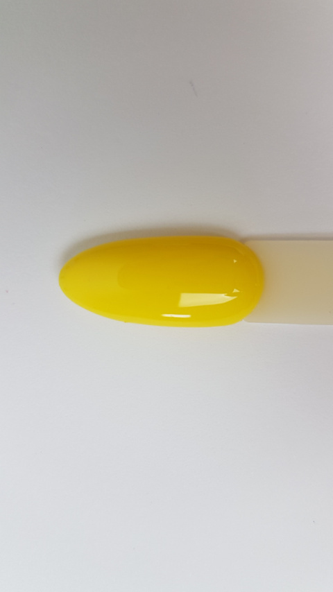 Arkadia New Hybrid 104