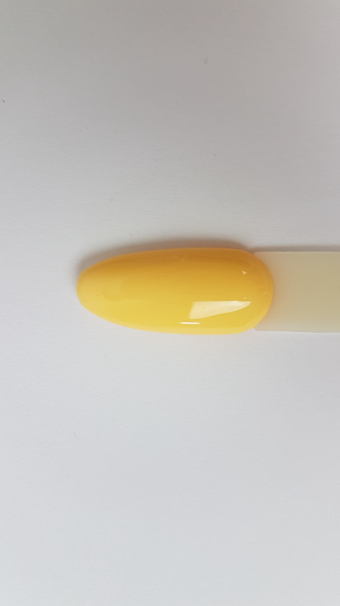 Arkadia New Hybrid 105