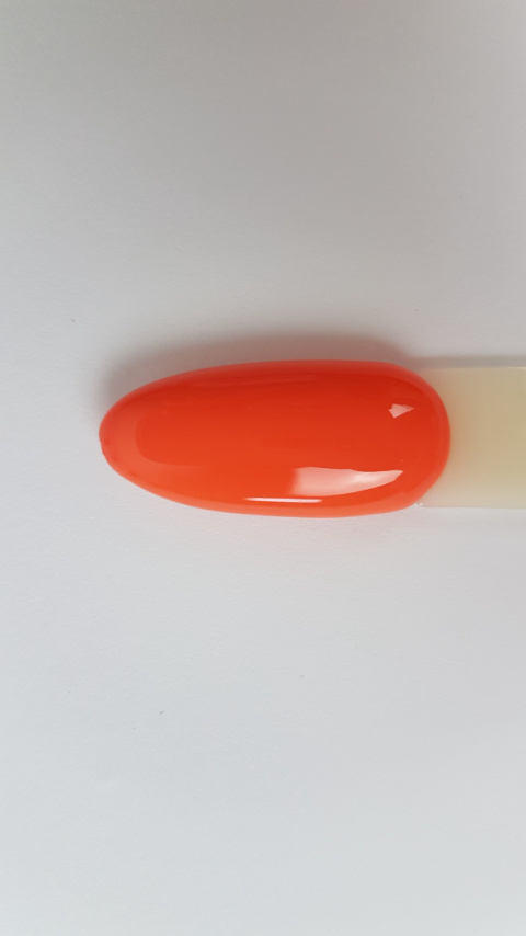 Arkadia New Hybrid 106